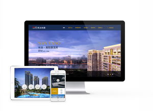 先锋时代 互动多媒体设计的变革与展望